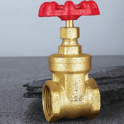 Brass Valve Fitting