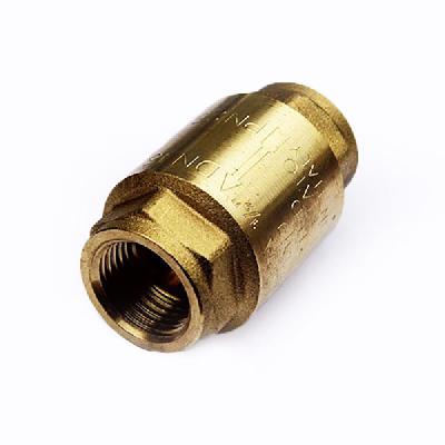 BSP Non Return Valves