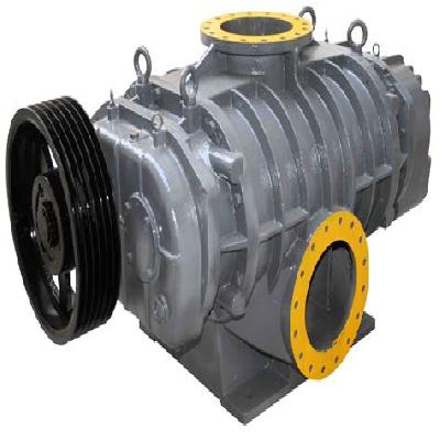 Roots Blower