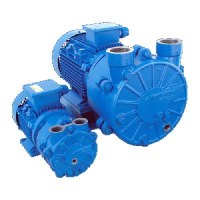 Closed Coupled Water Ring Vacuum Pumps