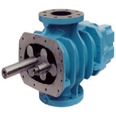 Oil-Free Positive Displacement Screw Blowers