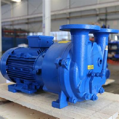 Industrial Water Ring Vacuum Pump
