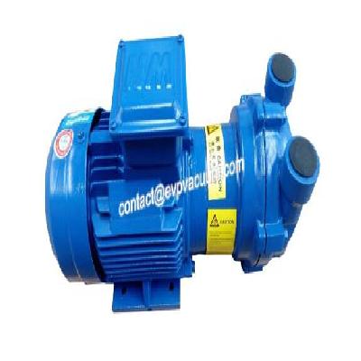 Water Ring Monoblock Vacuum Pump