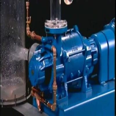 NASH Liquid ring vacuum pump
