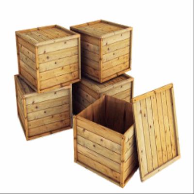 Jungle Wood Pallets
