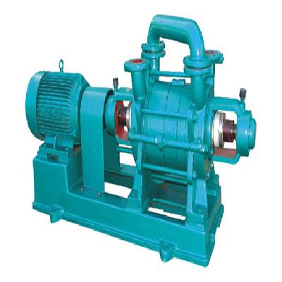Watering Vacuum Pump