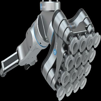 Robotic Gripper