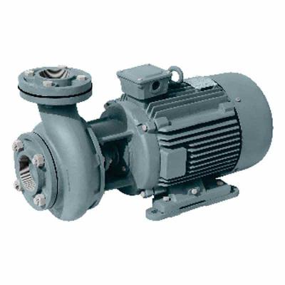 Vacuum Pump Mono Block Type