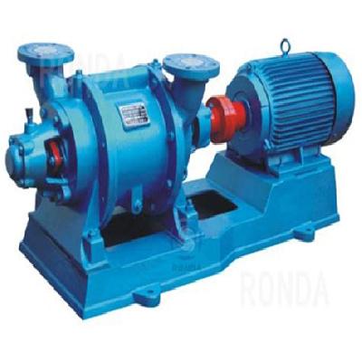 Single Stage Water Ring Vacuum Pump