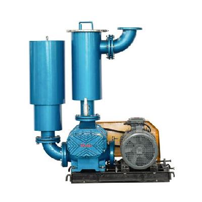 Roots Vacuum Pump