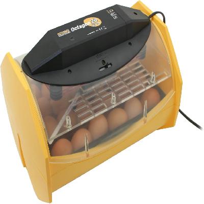 Egg Incubator