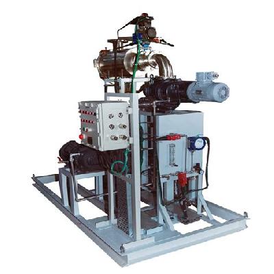 Roots - Dry Screw Vacuum Pumping System