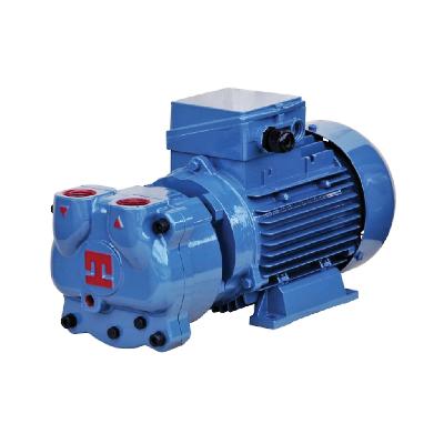 Liquid Ring Vacuum Pump