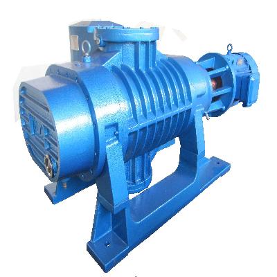 ZJP Roots Vacuum Pump