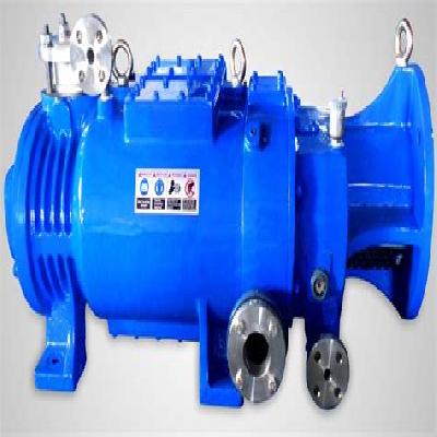 Dry Screw Vacuum Pump