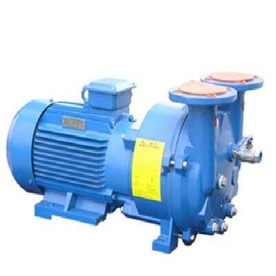 ELRC1 Economy Liquid Ring Vacuum Pump