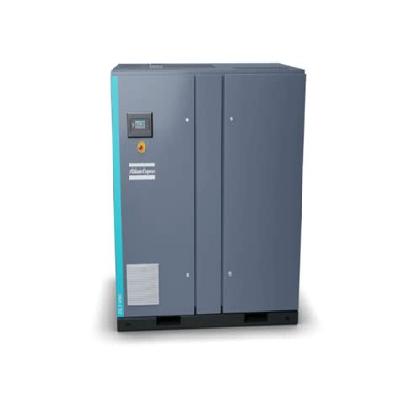 Oil Free Lobe Blower