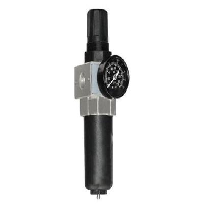 Bit Filter Regulator