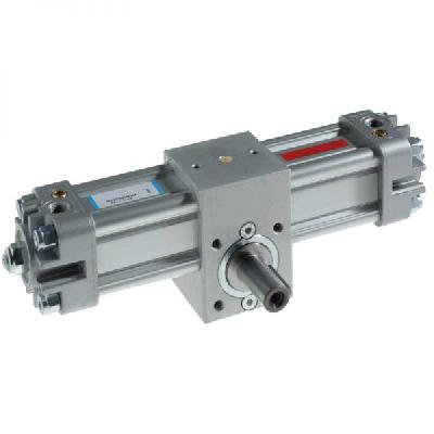 ROTARY ACTUATOR SERIES R1