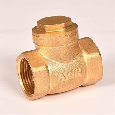 Brass NRV Valve