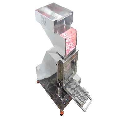 Capsule Loading Machine (300 Holes Make LI)