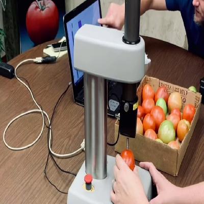 Fruit Pressure Firmness Tester