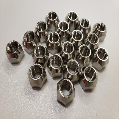 Stainless Steel Lugs