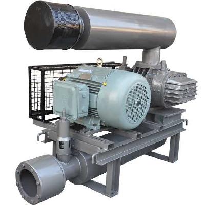 Twin Lobes Blowers