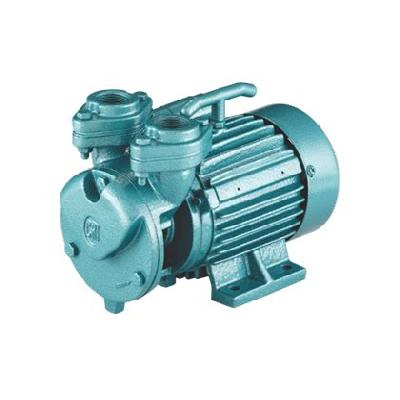 CRI Submersible Pump (Model No DINO S0100)