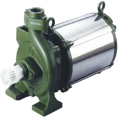 Silver Pumps and Motors V4 Submersible Pump