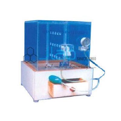 Histamine Chamber