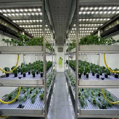 Plant Growth Chamber