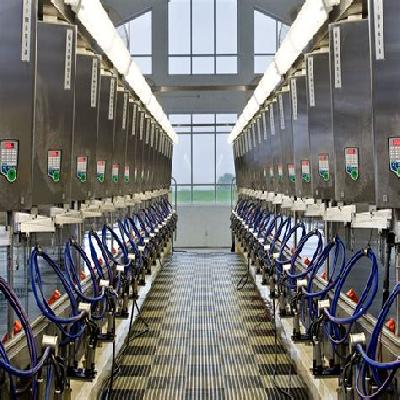 Milking Parlour