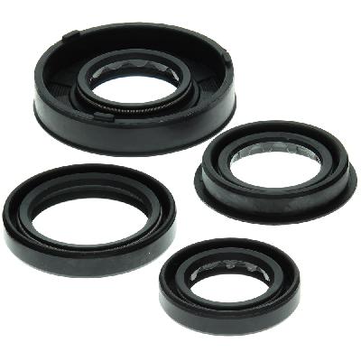 Engine Oil Seal Kit