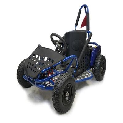 Electric Go Kart