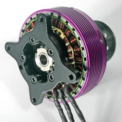 1000 Watt Motor