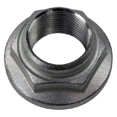 NUT FOR DIFFERENTIAL