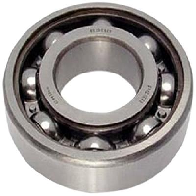 NY Gold Bearing 6301