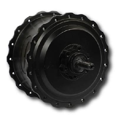 Hub Motor 