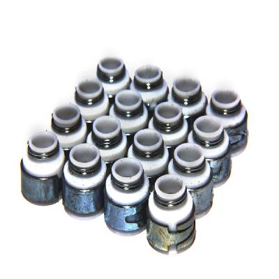 Valve Seals Stem