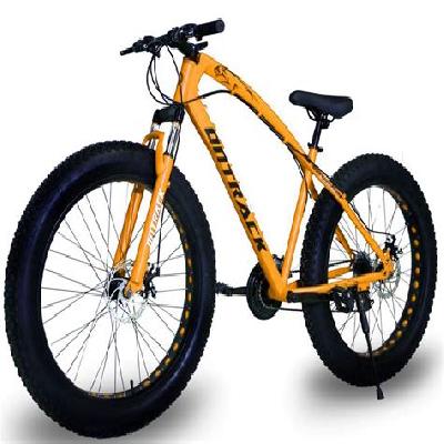 Fat Tyre Geared Cycle