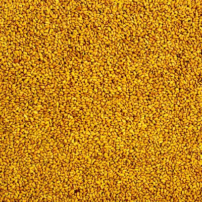 Brown Lucerne Seeds