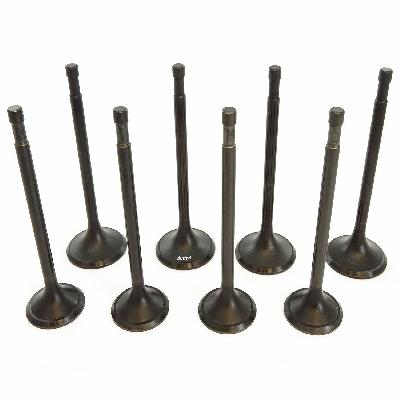 Engine Valve Set Ct-100
