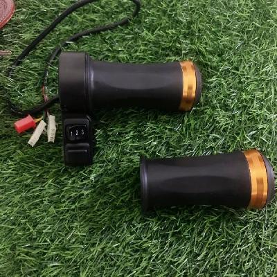 E Rickshaw Throttle
