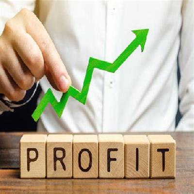 Business Eye Profit Service