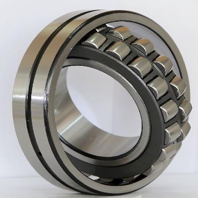 Vibrating Roller Bearing