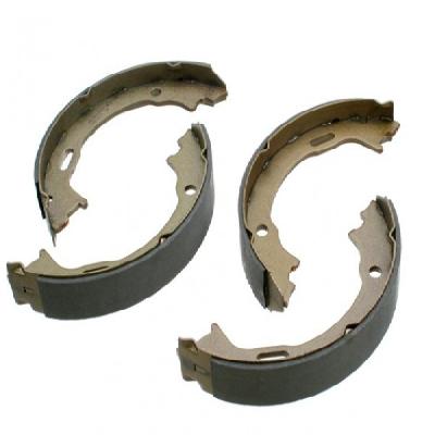 Tata Truck - Brake Shoe