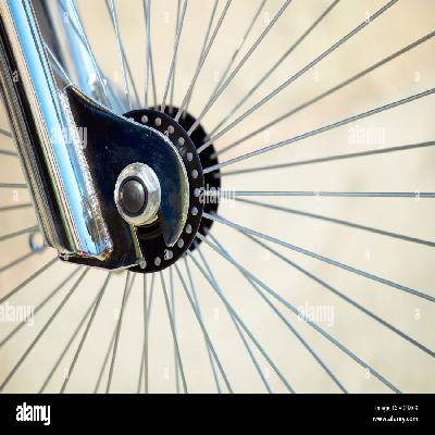 Bycycle Spoke