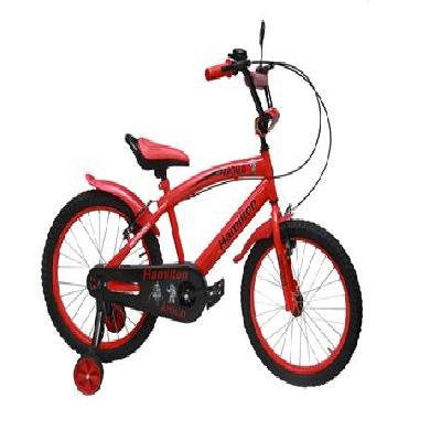Hamilton Cycle