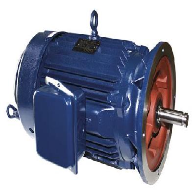 1.25 HP Motor